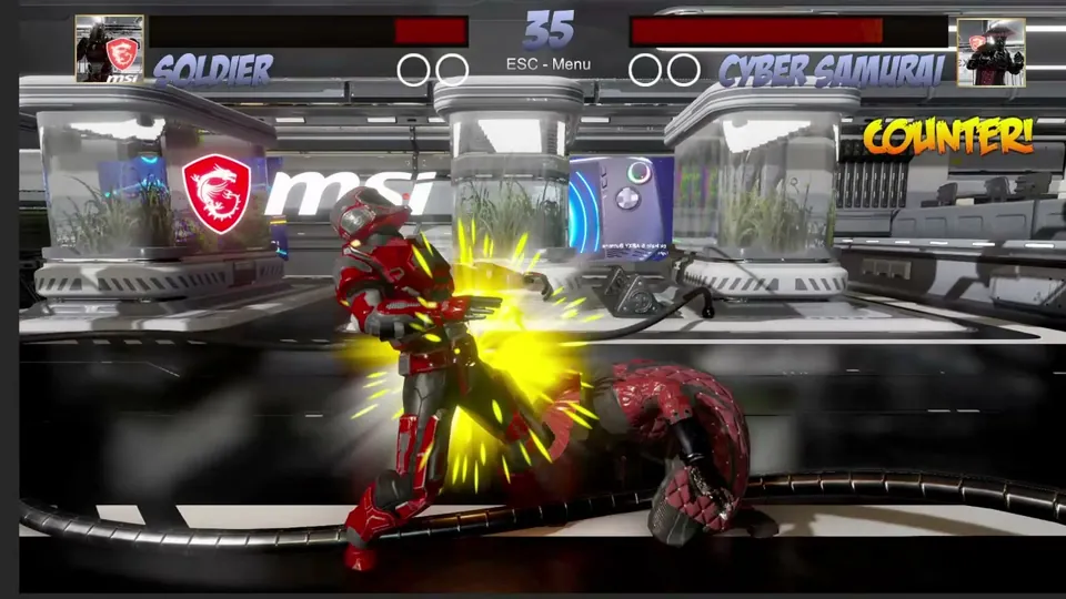 MSI Fighting Game