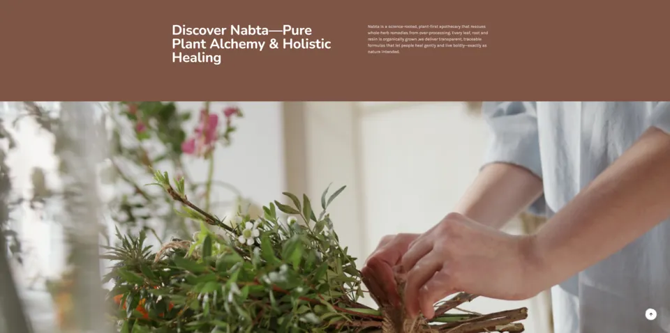Nabta Pure: Brand story