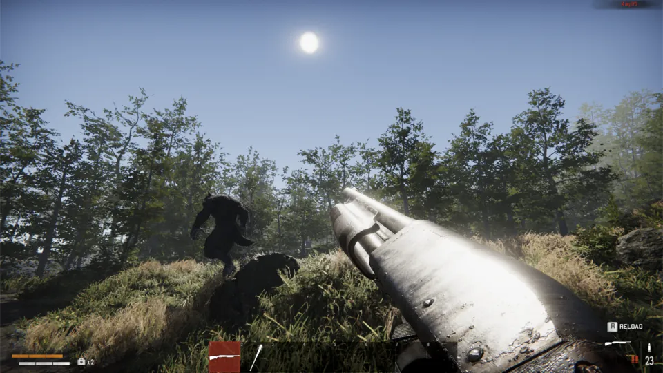 TPI Wolf Hunter: On the rocks